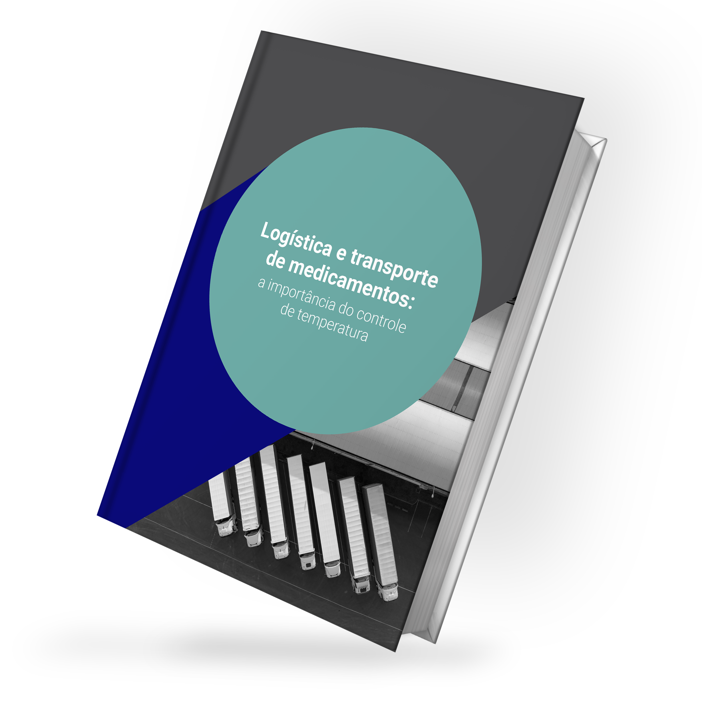 mockup-1---ebook---logistica-e-transporte